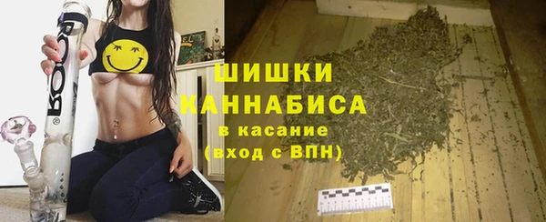 крисы Новодвинск